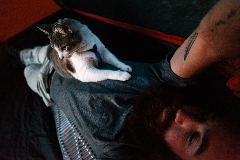 Illustration for article titled How To Take Your Cat Camping